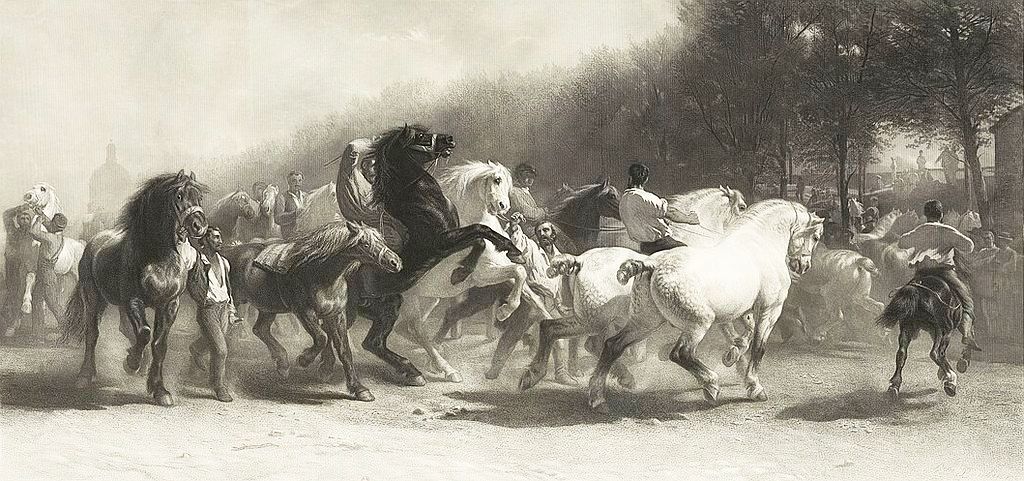 Horse Fair Bonheur